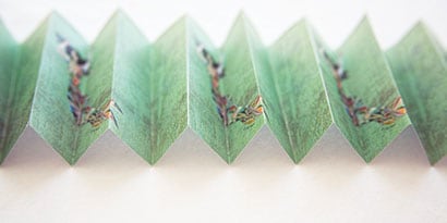 주름잡기